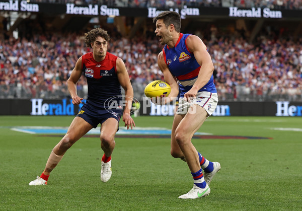 AFL 2021 Grand Final - Melbourne v Western Bulldogs - 892818