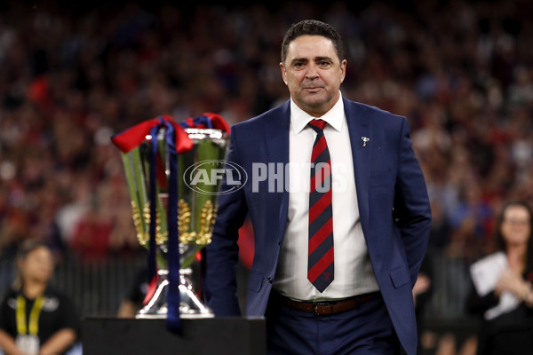 AFL 2021 Grand Final - Melbourne v Western Bulldogs - 893467