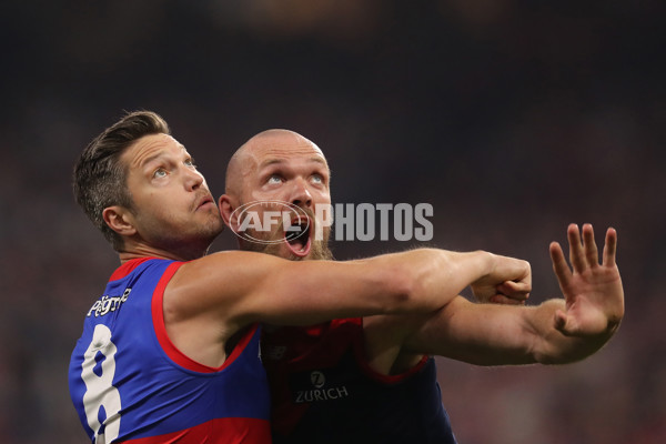 AFL 2021 Grand Final - Melbourne v Western Bulldogs - 893529