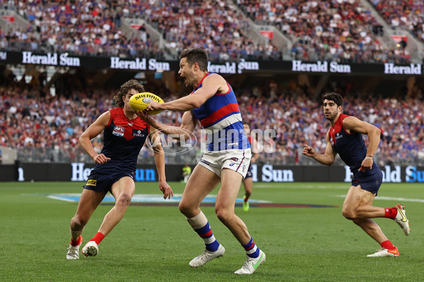 AFL 2021 Grand Final - Melbourne v Western Bulldogs - 893915
