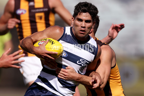 Geelong v Hawthorn - AFL Match Simulation - A-839180