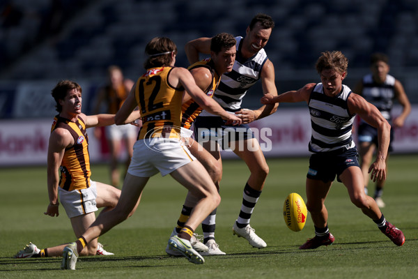 Geelong v Hawthorn - AFL Match Simulation - A-839205