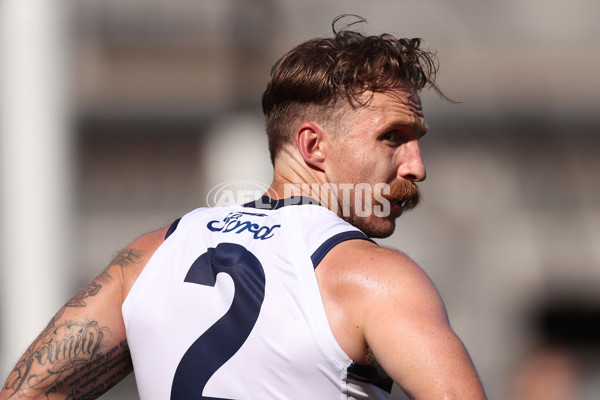 Geelong v Hawthorn - AFL Match Simulation - A-839206