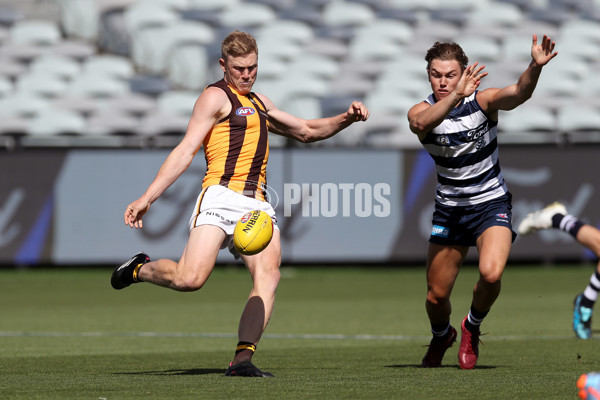 Geelong v Hawthorn - AFL Match Simulation - A-841850