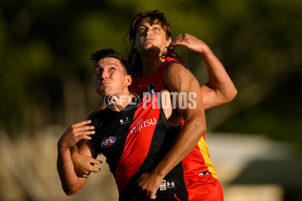 Gold Coast v Essendon - AFL Match Simulation - A-843405
