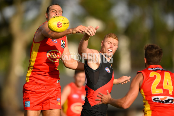Gold Coast v Essendon - AFL Match Simulation - A-846079