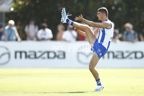 North Melbourne v Richmond - AFL Match Simulation - A-846172