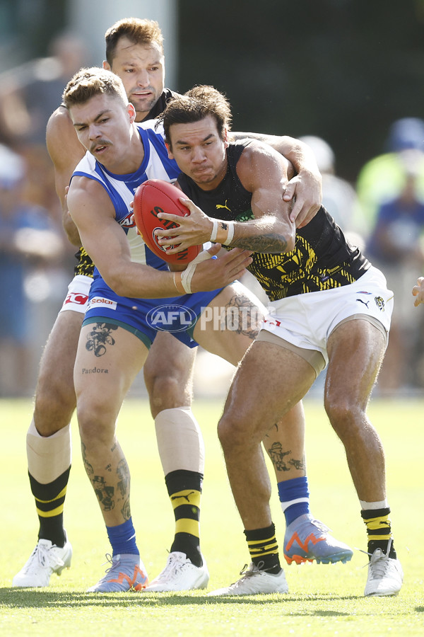 North Melbourne v Richmond - AFL Match Simulation - A-846173