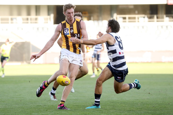 Geelong v Hawthorn - AFL Match Simulation - A-847699