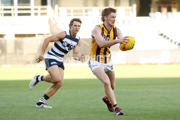 Geelong v Hawthorn - AFL Match Simulation - A-847700