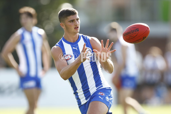 North Melbourne v Richmond - AFL Match Simulation - A-847711