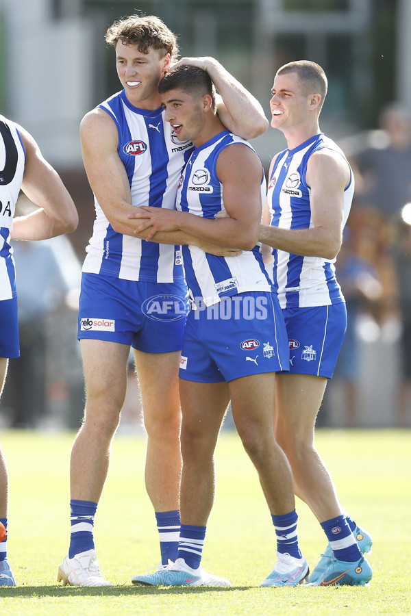 North Melbourne v Richmond - AFL Match Simulation - A-847717