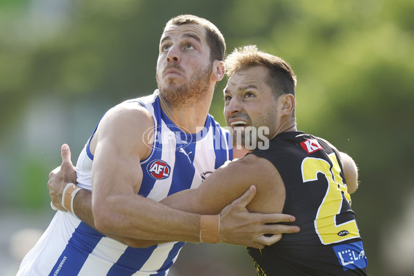 North Melbourne v Richmond - AFL Match Simulation - A-847721