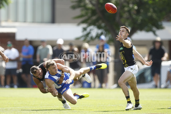 North Melbourne v Richmond - AFL Match Simulation - A-850664