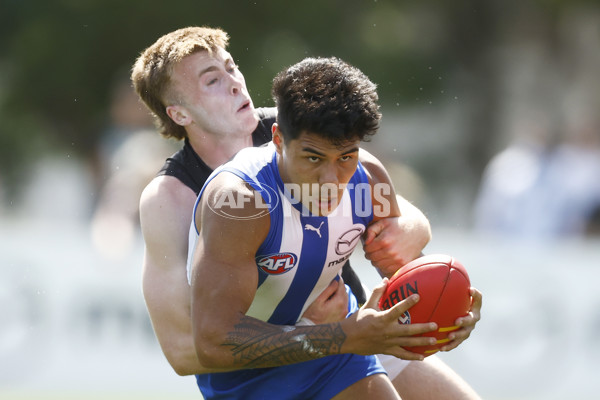 North Melbourne v Richmond - AFL Match Simulation - A-850701