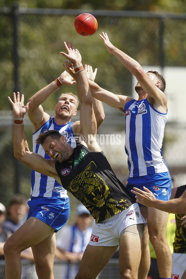 North Melbourne v Richmond - AFL Match Simulation - A-850702