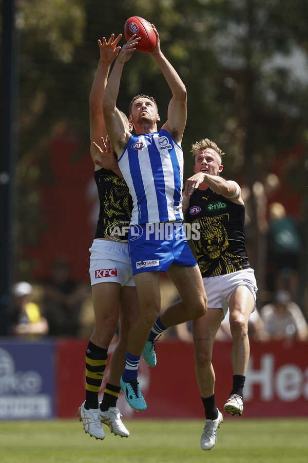 North Melbourne v Richmond - AFL Match Simulation - A-850703