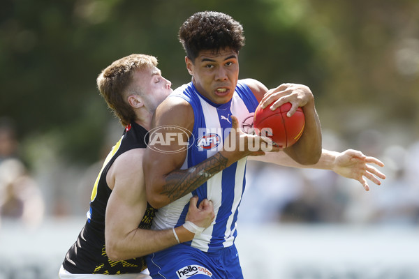North Melbourne v Richmond - AFL Match Simulation - A-850704