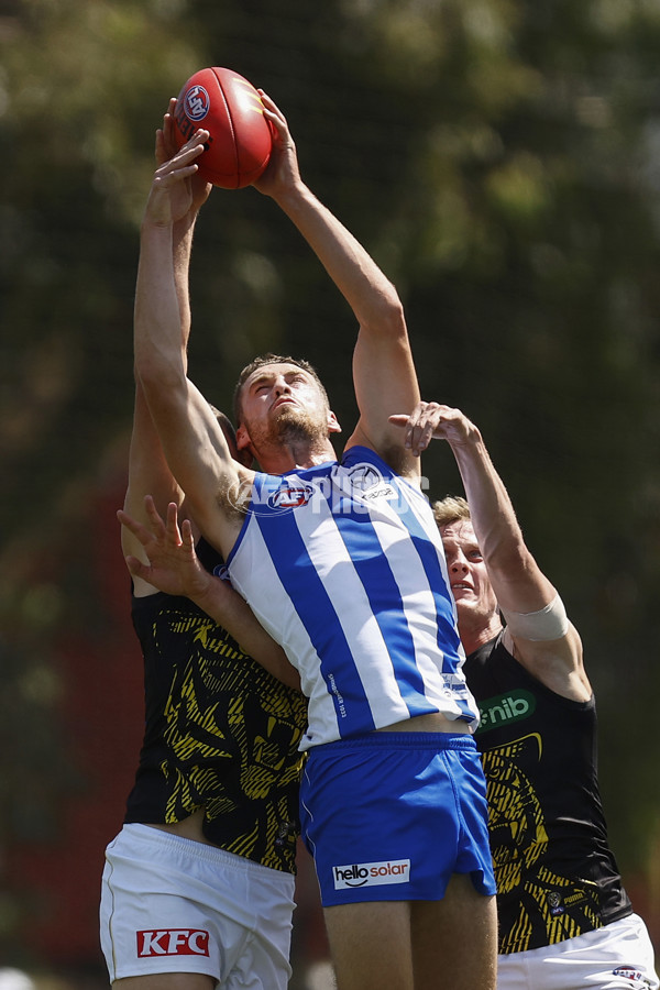 North Melbourne v Richmond - AFL Match Simulation - A-850705