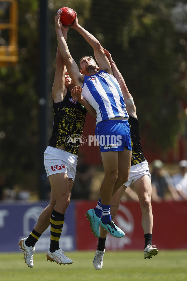 North Melbourne v Richmond - AFL Match Simulation - A-850707