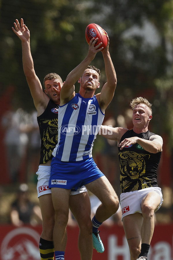 North Melbourne v Richmond - AFL Match Simulation - A-850708