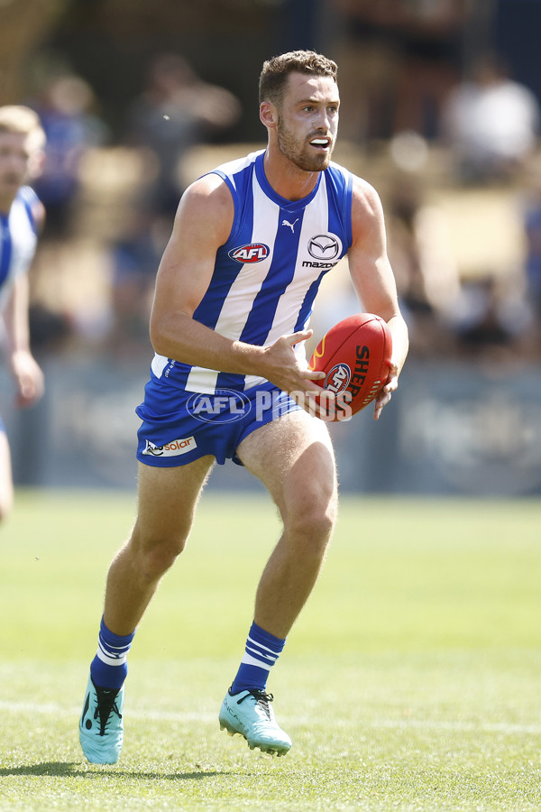 North Melbourne v Richmond - AFL Match Simulation - A-850709