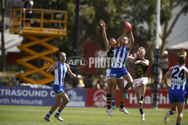 North Melbourne v Richmond - AFL Match Simulation - A-855150