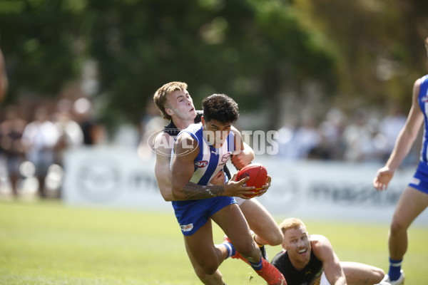 North Melbourne v Richmond - AFL Match Simulation - A-855152