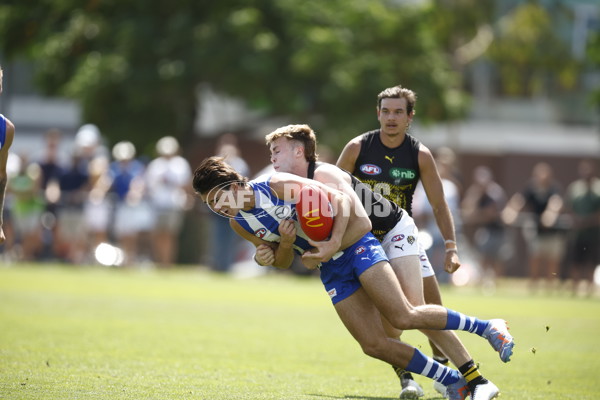 North Melbourne v Richmond - AFL Match Simulation - A-855154