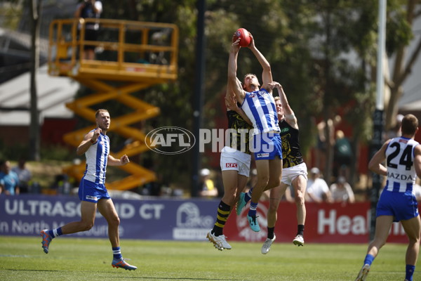 North Melbourne v Richmond - AFL Match Simulation - A-855156