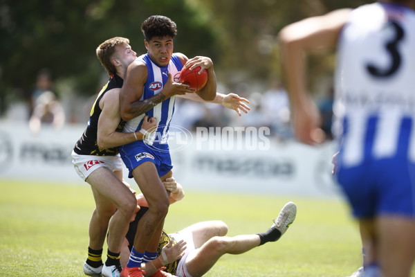 North Melbourne v Richmond - AFL Match Simulation - A-856302