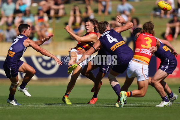 Fremantle v Adelaide - AFL Match Simulation - A-856378