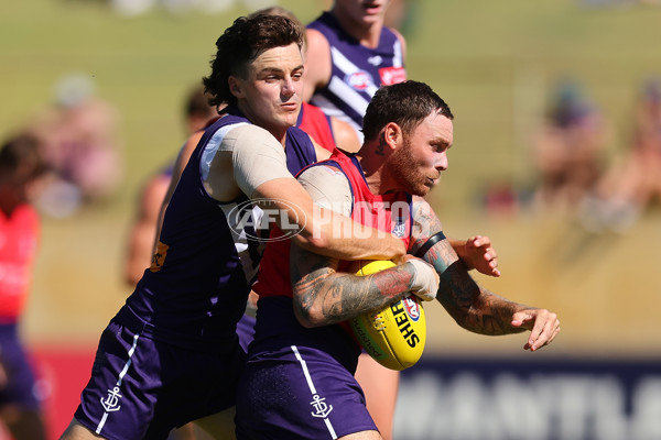 Fremantle v Adelaide - AFL Match Simulation - A-857739
