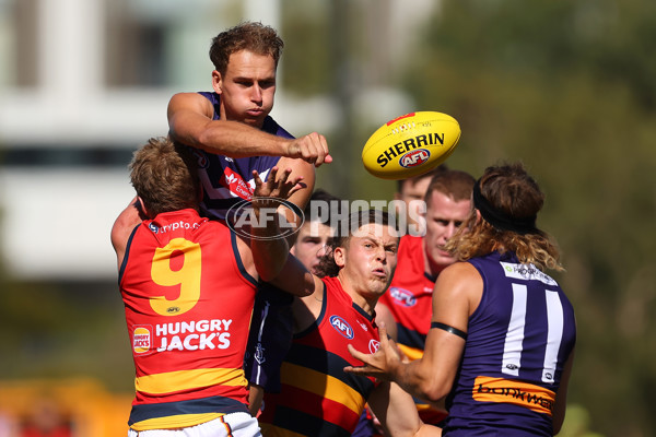 Fremantle v Adelaide - AFL Match Simulation - A-857743
