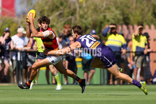 Fremantle v Adelaide - AFL Match Simulation - A-857745