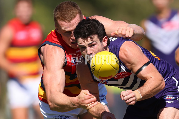 Fremantle v Adelaide - AFL Match Simulation - A-857751