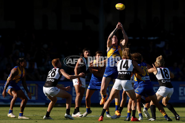 West Coast v Port Adelaide - AFL Match Simulation - A-857787