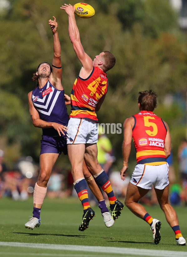 Fremantle v Adelaide - AFL Match Simulation - A-859415