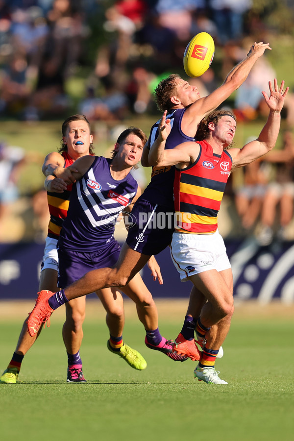 Fremantle v Adelaide - AFL Match Simulation - A-859461