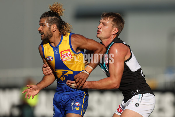 West Coast v Port Adelaide - AFL Match Simulation - A-860724