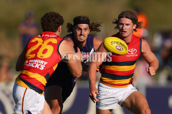 Fremantle v Adelaide - AFL Match Simulation - A-860748