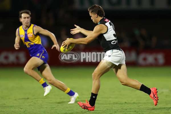 West Coast v Port Adelaide - AFL Match Simulation - A-860809