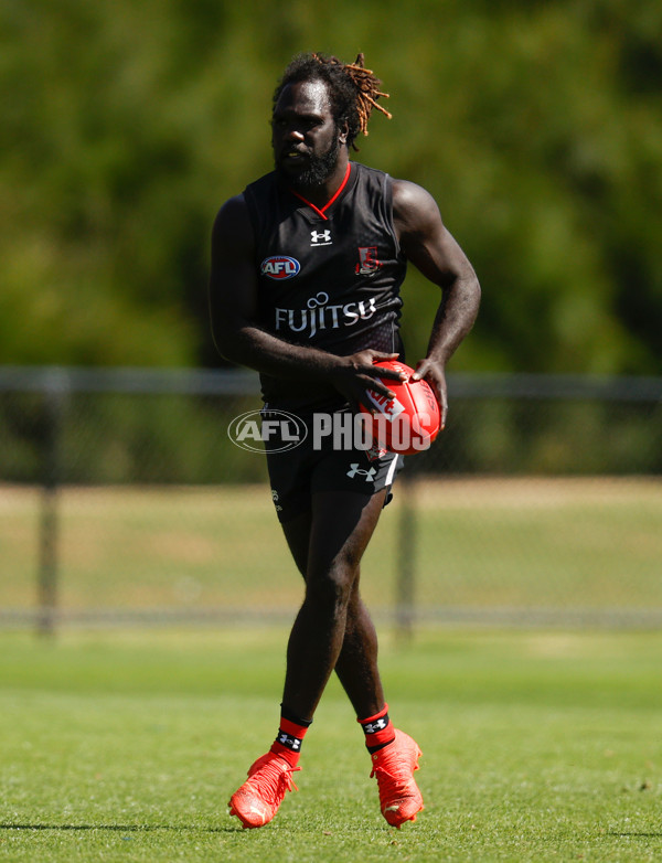 AFL 2023 Training - Essendon 200123 - A-867744