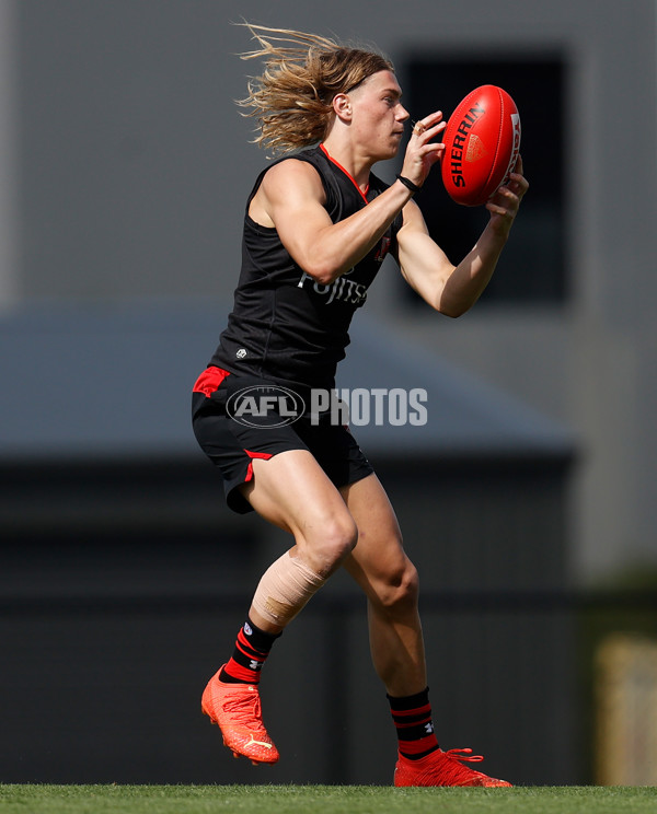 AFL 2023 Training - Essendon 200123 - A-868322