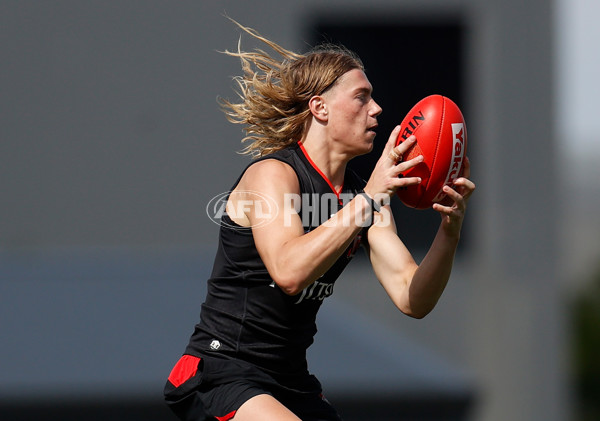 AFL 2023 Training - Essendon 200123 - A-868323
