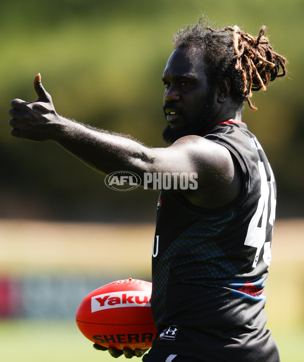 AFL 2023 Training - Essendon 200123 - A-868348