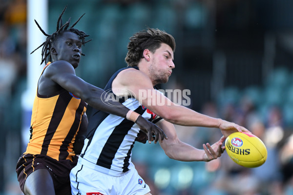 3 AFL Practice Match - Hawthorn v Collingwood - A-872845