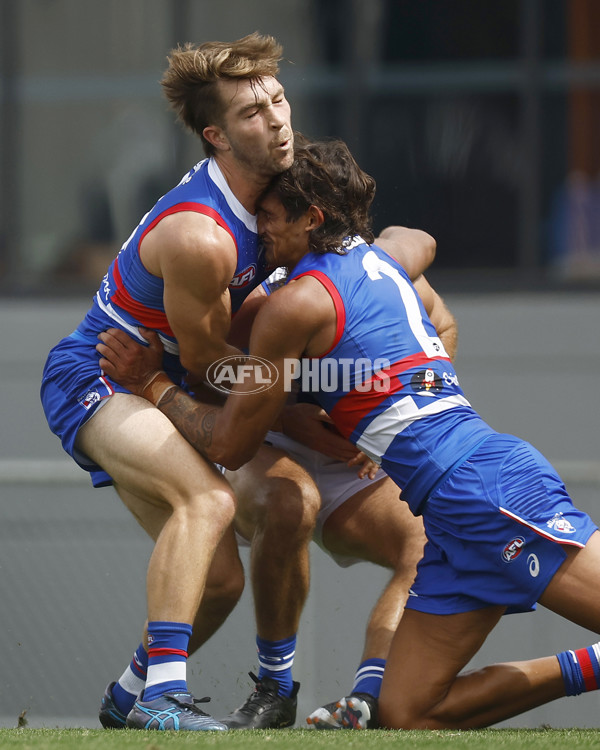 3 AFL Practice Match - Western Bulldogs v North Melbourne - A-890600