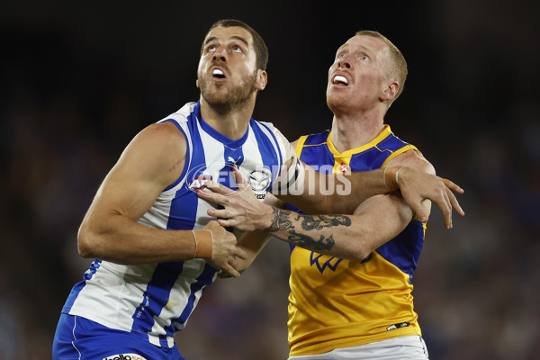 AFL Rd 1 - North Melbourne v West Coast - A-906099