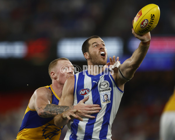 AFL Rd 1 - North Melbourne v West Coast - A-906117
